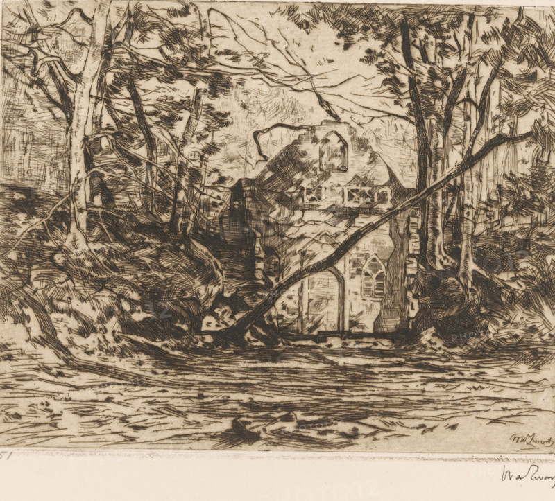 Ruins in a forest, Ruins with uprooted tree (Lage Vuursche) (original title), print, printmaker: Willem de Zwart, c. 1896, paper, etching, intaglio printmaking technique, height 158 mm x width 199 mm, forest, wood, landscape with ruins, An etched landscape showing dense, intricately crosshatched trees with twisting trunks and branches framing a ruined stone building that features tall arched openings and a broken wall, all rendered in dark lines on a light, textured background with layered marks suggesting foliage and ground patterns.