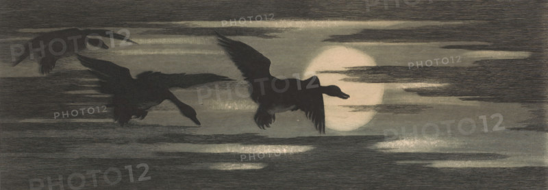 Three ducks migrating past the setting sun, print, inscription: 'Société des a. Belges 1895, Oiseaux de passage, orig. ets', printmaker: attributed to Marc Henry Meunier, 1895, Attributed to, paper, etching, intaglio printmaking technique, etching with plate tone in blue-gray, height 164 mm x width 407 mm, sunset, water-birds: duck, Three dark birds in flight are silhouetted against a pale circular light source partially obscured by horizontal bands of thin, textured cloud; the birds show outstretched wings, elongated necks, and feathered tails, with subtle variations in posture and wing angle, all set against a muted, horizontally striated sky in tones of gray and soft beige.