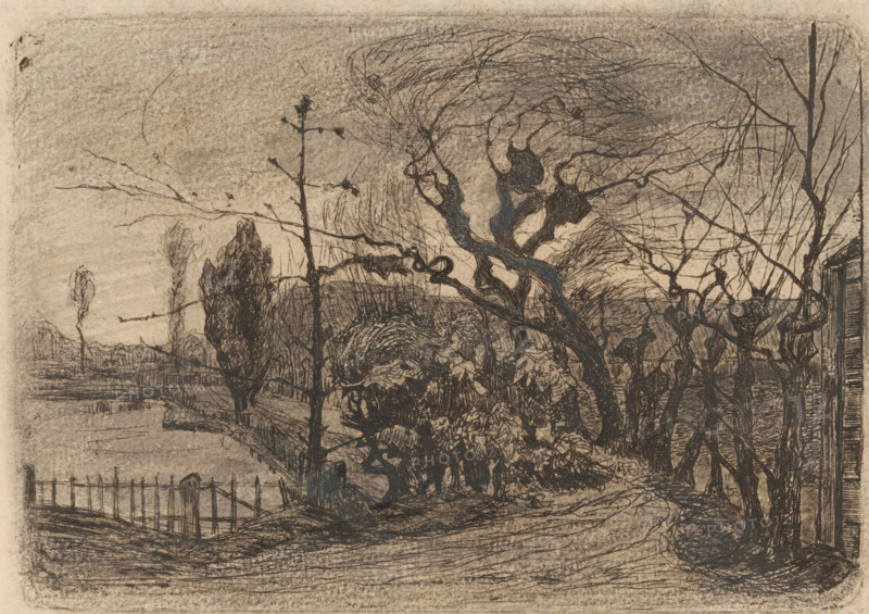 Garden path with willows (original title), print, printmaker: Floris Verster, 1871 - 1927, paper, etching, intaglio printmaking technique, height 139 mm x width 200 mm, garden, road, path, trees: willow, A monochrome etching shows a landscape with tangled, leafless trees and gnarled branches in the foreground, their dark, sinuous trunks and twigs contrasted against a lighter, textured sky. A winding path curves through the scene, bordered at one edge by a simple metal fence with vertical posts and horizontal rails. In the middle distance, dense clusters of shrubs and foliage create massed, intricate linework, while a few taller, narrow trees rise further back. The horizon is low and distant, with faint, sketchy landforms and a thin band of water suggested near the middle ground. Delicate, crosshatched shading and varied line densities give the image a weathered, grainy appearance overall.