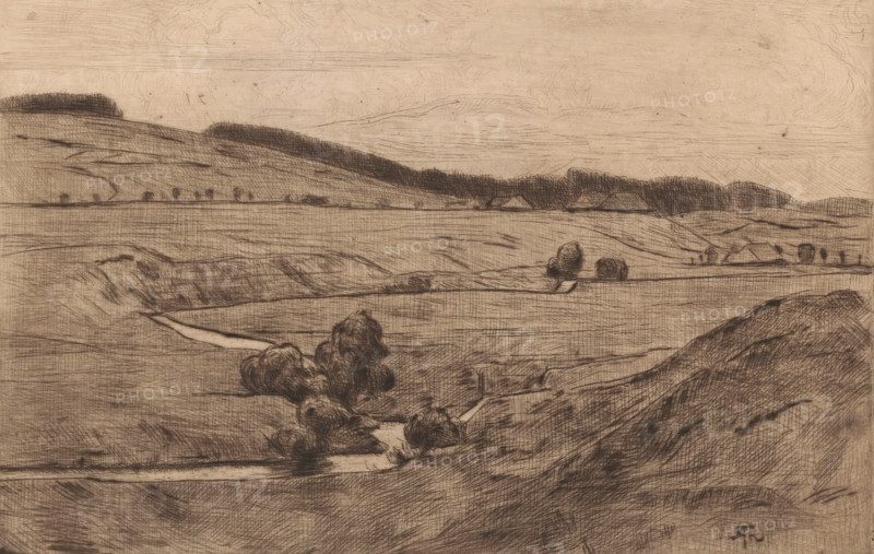 Hilly landscape, print, printmaker: Hans Thoma, Karlsruhe (possibly), 1911, Baden-Württemberg, paper, drypoint, intaglio printmaking technique, height 163 mm x width 249 mm, landscapes, low hill country, A sepia-toned landscape drawing showing rolling hills and open fields with textured, crosshatched lines; a cluster of darker shaded trees sits near the foreground beside a winding stream; in the middle distance a straight horizontal line separates two expanses of land with small rounded tree shapes and low, darkly shaded hedgerows; distant hills rise softly against a pale sky with faint linear cloud markings; a few angular rooflines of simple buildings appear along the distant horizon; the overall image is rendered with fine etched lines and varied shading creating contours and depth.