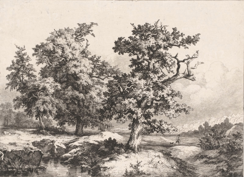 Les Chênes dans la plain, Landscape with oaks, walker and dog, Études gravées d'après nature, print, Series number, 2, 5, print maker: Eugène Bléry (signed by artist), Fontainebleau, after design by Eugène Bléry, 1842, Eugène Bléry, printmaker, paper, chine collé, etching, etching on chine collé, height 210 mm x width 274 mm, plain, trees: oak, walking the dog, A detailed black and white etching showing a natural scene with large, leafy trees occupying the foreground and middle ground, their trunks and branches rendered with fine lines and textured shading, one prominent tree leaning and extending a gnarled branch outward, clouds drawn in the sky with swirling, hatched lines, a small stream or pond at the bottom reflecting surrounding vegetation, grassy banks and rocky outcrops with intricate crosshatching, clusters of shrubs and low plants dotting the ground, and a lone small human figure walking along a path near the trees.