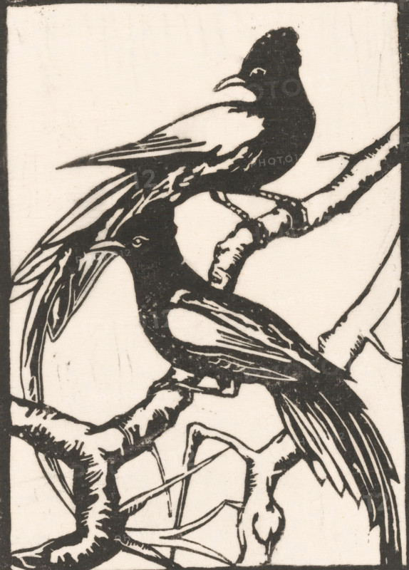 Two birds on a branch, Two exotic birds, print, Possibly two crested cuckoos., inscription: 'No 17', printmaker: Janus de Winter (signed by artist), 1892 - 1951, paper, Japanese paper (handmade paper), linocut, linocut on Japanese paper, height 278 mm x width 227 mm, birds, A monochrome woodcut-style image of two birds perched on intertwined branches, with bold black outlines and white negative space; one bird sits higher with a curved beak and a crest on its head, the other faces downward with a long pointed beak and elongated tail feathers, both showing stylized wing and feather patterns and textured branch surfaces.