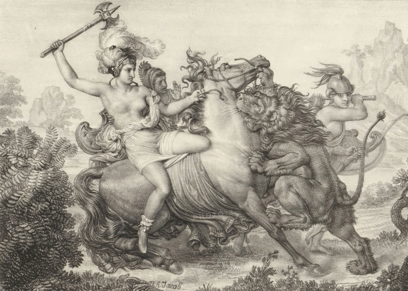 Hippolyte attacked by a lion, Series of lithographs, Receuil de dessins sur pierre, print, album page, Print is part of an album., printmaker: Nicolas Henri Jacob, 1818, paper, lithography, height 300 mm x width 440 mm, fight of Hercules and the Amazons, A detailed monochrome engraving shows a partially draped woman seated on a rearing horse, her hair in an elaborate plume and one arm raised holding a long, ornate weapon while the other hand grips the horse's mane, a second figure beside her wearing a helmet and holding reins, and a helmeted male figure at the rear of the chariot holding a long pole; a lion with a flowing mane claws at the horse's flank and presses against the animal, plants and ferns frame the lower left, and distant rocky hills rise in the background.