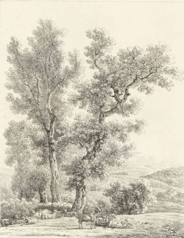 Landscape with flock of sheep, Receuil de dessins sur pierre, Series of lithographs, print, album page, Print is part of an album., 1818 - 1819, printmaker, paper, lithography, lithografie, height 300 mm x width 442 mm, landscapes, sheep, herd, flock, A detailed pencil drawing of a rural scene dominated by tall, leafy trees with textured trunks and branches, a gently rolling landscape in the background, and a foreground meadow where several sheep and a goat rest and stand beneath the trees, all rendered with fine, intricate shading and stippling on a light paper background.