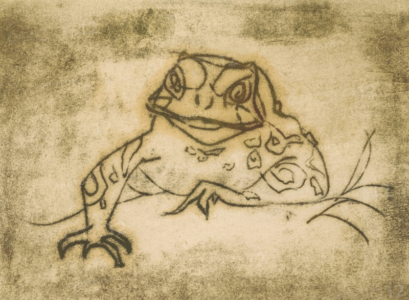 Pad, print, printmaker: Dick Middelhoek, 1959, paper, monotype, monotype of marble slab in greenish-brown, height 165 mm x width 224 mm, tailless amphibians: toad, A close-up sketch of a frog-like creature rendered in dark charcoal lines on a textured, sepia-toned background, showing a broad head with prominent eyes and a wide mouth, a patterned back with organic swirl shapes, a front limb extended with clawed toes, and a few curving plant-like lines nearby.