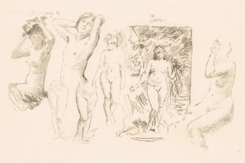 Study sheet with six naked women and Eva, print, book illustration, annotation: 'Vol., page 0, Eve, Fond de bois, page 0', printmaker: Henri Fantin-Latour, publisher: Librairie Centrale des Beaux-Arts, Paris, c. 1906, paper, chalk lithograph, proof, height 230 mm x width 295 mm, Proof for print, used for: L. Bénédite, L'oeuvre de Fantin-Latour, Paris 1906., the (nude) human figure, 'Corpo humano' (Ripa) - AA - female human figure, Eve (alone) holding the fruit, woman (showing herself) undressed, quasi-nude, A wide, pale paper page with several charcoal sketches of nude female figures arranged across the sheet, each drawn in loose, gestural lines. The figures show different poses: a seated woman with her arms raised toward her head and a dark, textured mass around her head; a standing woman with arms lifted behind her head and a soft, shadowed face; a slender, frontal figure walking with arms hanging down; a more detailed, upright figure framed by dense, hatched shading and surrounded b...