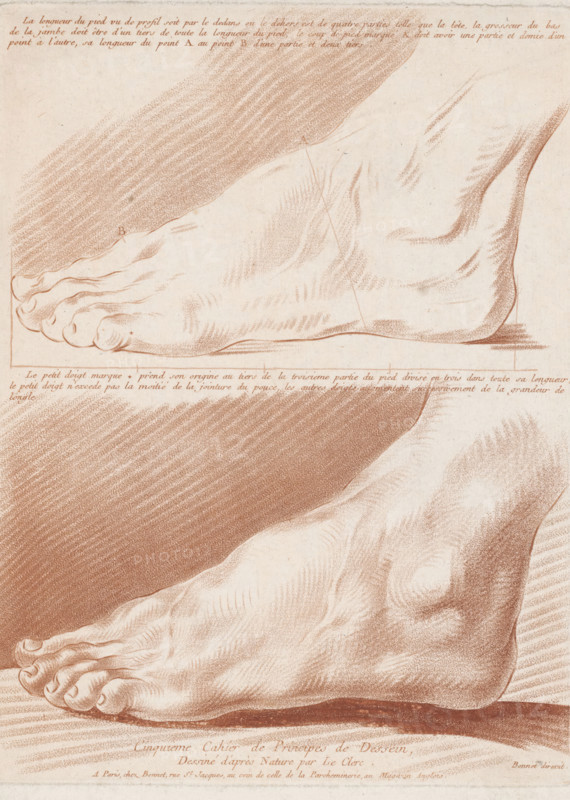Title page with two feet, Compositions with human body parts, Cinquième Cahier de Principes de Dessein, print, title page, Series number, 1, 6, printmaker, after design by, supervision, publisher, Paris, Pierre Thomas Le Clerc, paper, crayon manner, crayon manner in brown, height 280 mm x width 208 mm, This print is part of an album consisting of at least eleven parts. These albums probably served as examples for draftsmen, painters, and engravers., foot, A sepia-toned drawing of two human feet seen from the side and slightly above, showing detailed contouring of toes, nails, arches, and ankle bones, with fine hatch shading indicating muscle and skin texture, a rectangular baseline under the top foot, and subtle cross-hatched background areas.
