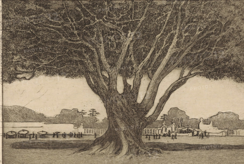 A waringin (original title), Waringin in the garden of the Sultan's palace in Yogyakarta, print, A waringin, also called a weeping fig, in the garden of Kraton Ngayogyakarta Hadiningrat, the Sultan's palace in Yogyakarta on Java., inscription: 'private collection', printmaker: Wijnand Otto Jan Nieuwenkamp (signed by artist), in or after 1898, paper, zinc etching, intaglio printmaking technique, etching with plate tone on zinc, height 137 mm x width 200 mm, trees, palace, Java, Central Java, Yogyakarta, Kraton Ngayogyakarta Hadiningrat, A large tree with a thick textured trunk and numerous branching limbs fills the foreground, its dense canopy of swirling dark foliage extending across the top of the image. Behind the tree, a flat light-colored background stretches horizontally, interrupted by silhouetted low hills and clustered shapes suggesting distant structures. Along the lower middle ground, small dark figures stand and walk near rows of round canopies and linear architectural eleme...