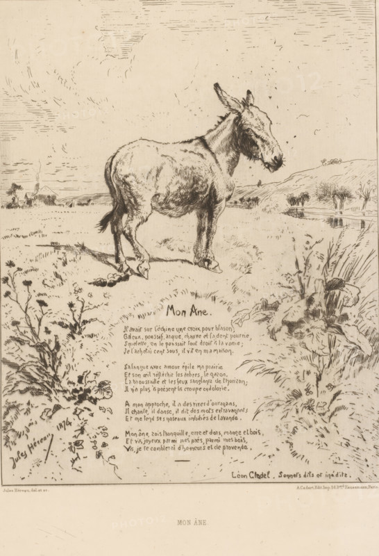 Landscape with donkey, Mon âne, French etchings from 1875, L'eau-forte en 1875, print, Series number, 26, 40, collector's mark: 'AFE v S', printmaker: Jules Héreau, writer (clerical worker): Léon Cladel, publisher: Alfred Cadart, Paris, 1875, writer (clerical worker), paper, etching, drypoint, intaglio printmaking technique, height 314 mm x width 236 mm, ass, donkey, A lightly sketched scene on aged paper showing a donkey standing in profile on a grassy plain, its head turned slightly toward the viewer and its tail hanging down; the donkey is rendered with fine lines and shading that show texture of fur and muscle. Surrounding the animal are grasses, wildflowers, and low shrubs drawn with delicate strokes, with a small body of water and distant rolling hills in the background. Above, a sparsely hatched sky with faint cloud-like marks fills the upper area. Below the donkey is a block of hand-drawn lines of text arranged in neat stanzas, and a few signatures or names appear near the lowe...