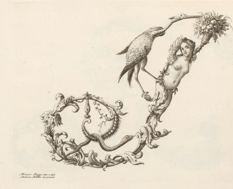 Ornamental letter I, Ornamental alphabet, Alfabeto di lettere inizial, print, album page, decorated with a bird, a snake, and a winged female figure. Print is part of an album., printmaker: Lorenzo Lorenzi, Italy, after drawing by Mauro Poggi, after drawing by Andrea Bimbi, 1745 - 1765, paper, etching, engraving, height 228 mm x width 317 mm, This print is part of a series of 24 prints (title print) with ornamental letters., letters, alphabet, script, fancy letters, A detailed black ink ornamental drawing on a light background showing a long-necked bird perched on a curving leafy scroll, the bird's beak touching a basket of fruit held aloft by a partially nude winged female figure whose torso emerges from an ornate flowing acanthus form, connected to swirling vegetal scrolls that incorporate a coiled snake and decorative flourishes.