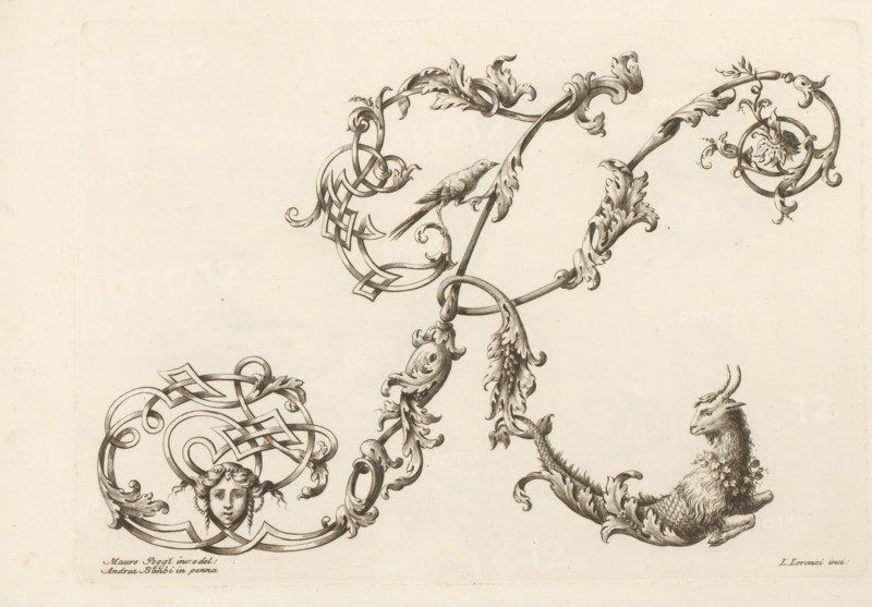 Ornamental letter K, Alphabet of initial letters, Ornamental alphabet, print, album page, decorated with a mask, a bird, and a goat with a fish tail. Print is part of an album., printmaker: Lorenzo Lorenzi, Italy, after drawing by Mauro Poggi, after drawing by Andrea Bimbi, 1745 - 1765, paper, etching, engraving, height 226 mm x width 319 mm, This print is part of a series of 24 prints (title print) with ornamental letters., letters, alphabet, script, fancy letters, An ornate ink drawing on a light paper background showing intricate scrolling foliage and ribbonlike loops, a small perched bird resting on one of the curved branches, a decorative circular motif with a stylized floral element, a human face framed by flowing ornamental ribbonwork, and a mythical creature with a goatlike head and scaled, fishlike body emerging from a leafy scroll.