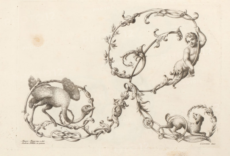 Ornamental letter R, Ornamental alphabet, Alfabeto di lettere inizial, print, album page, decorated with an ostrich, a dog, and a naked boy ending in ornament. Print is part of an album., printmaker: Lorenzo Lorenzi, Italy, after drawing by Mauro Poggi, after drawing by Andrea Bimbi, 1745 - 1765, paper, etching, engraving, height 225 mm x width 314 mm, This print is part of a series of 24 prints (title print) with ornamental letters., letters, alphabet, script, fancy letters, A detailed ink drawing on aged paper shows ornate scrolling foliage and ribbon-like loops forming circular frames that contain animal figures, including a young cherublike figure holding one of the loops, a long-necked bird with shaggy plumage positioned within another circular frame, and a reclining mammal with curled limbs inside a separate loop; the decorative elements feature acanthus-style leaves, curled tendrils, and entwined bands, all rendered with fine linework and stippling on a pale, lightly stained bac...