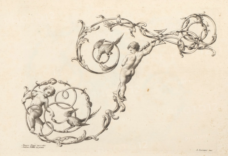 Ornamental letter T, Ornamental alphabet, Alfabeto di lettere inizial, print, album page, decorated with two birds and two naked boys. Print is part of an album., printmaker: Lorenzo Lorenzi, Italy, after drawing by Mauro Poggi, after drawing by Andrea Bimbi, 1745 - 1765, paper, etching, engraving, height 226 mm x width 312 mm, This print is part of a series of 24 prints (title print) with ornamental letters., letters, alphabet, script, fancy letters, A sepia-toned engraving showing ornamental scrollwork with acanthus-like leaves and curling ribbons, featuring two cherubic figures with rounded forms entwined in circular frames, one positioned higher and leaning while holding onto decorative bands and the other lower with an arm extended toward a bird; multiple birds with detailed feathers are perched or standing within circular loops; the lines are finely hatched to indicate shading and form, and the background is a textured aged paper with small spots and faint discoloration.