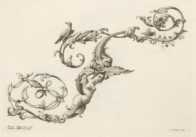 Ornamental letter F, Ornamental alphabet, Alfabeto di lettere inizial, print, album page, decorated with a bird, a fish, and a winged female figure. Print is part of an album., printmaker: Lorenzo Lorenzi, Italy, after drawing by Mauro Poggi, after drawing by Andrea Bimbi, 1745 - 1765, paper, etching, engraving, height 227 mm x width 315 mm, This print is part of a series of 24 prints (title print) with ornamental letters., letters, alphabet, script, fancy letters, An ornate black ink engraving on a light paper background showing intricate scrolling acanthus foliage and curving ornamental lines, a perched bird on a curled leafy vine, a stylized fish or sea creature with textured scales emerging from a flourish, and a partial cherub-like figure with a rounded torso and flowing hair integrated into the decorative swirls.