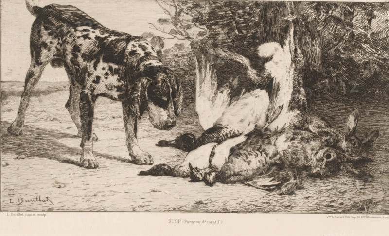 Stop, Hunting dog with prey, French etchings from 1880, L'eau-forte en 1880, print, Series number, 30, watermark, collector's mark: 'AFE v S', printmaker: Léon Barillot, publisher: widow Alfred Cadart, Paris, 1880, paper, etching, drypoint, intaglio printmaking technique, height 164 mm x width 275 mm, hunting dogs beside the spoilers, group of various hunted animals, A spotted dog with a lowered head and floppy ears stands on a textured ground facing a cluster of fallen birds arranged against a tree trunk, the birds showing outstretched wings and visible feathers; the scene includes a dense backdrop of foliage and a shadow cast on the ground.