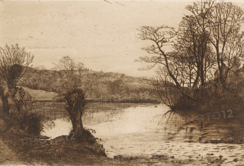Landscape with trees along water, French etchings from 1881, L'eau-forte en 1881, print, Series number, 23, 30, watermark, collector's mark: 'AFE v S', printmaker: John Postle Heseltine, publisher: widow Alfred Cadart, Paris, 1881, paper, etching, drypoint, intaglio printmaking technique, drypoint and plate tone in brown, height 191 mm x width 278 mm, landscapes with waters, waterscapes, seascapes (in the temperate zone), trees: willow, A sepia-toned landscape etching showing a calm river or lake bordered by grassy banks and dense groups of leafless and sparsely leaved trees, with a prominent cluster of tall slender trunks and branches on the right and a few gnarled pollarded stumps near the water's edge in the foreground, reflected faintly in the water surface; low rolling hills and distant trees form the midground under a wide, lightly textured sky.