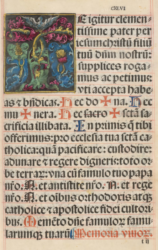 Initial T (Zahltafel) with owl and border decoration of grapes and leaf motifs, print, album page, Print from Missal Pataviense, 1503., printmaker: Jörg Breu (I), publisher: Johannes Winterburger, Vienna, c. 1495 - before 1503-05-25, Lower Austria, biological material, parchment (animal material), woodcut, hand coloring, height 82 mm x width 75 mm, owls, initial, A rectangular page with dense blackletter writing in horizontal lines framed by faint red guide lines, featuring a colorful illuminated square in the upper left showing stylized organic shapes in bright green, blue, pink, and yellow with a bird with spread wings at the top of the square; several ornamental initials in red and blue appear among the text, and the parchment shows slight age toning and small stains.