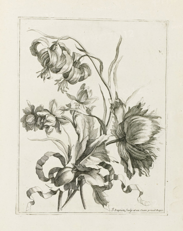 Bound bouquet, Les Petits Bouquets, print, album page, Bound bouquet. Print is part of an album., printmaker: Jean Baptiste Monnoyer, Paris, grantor of privilege: Louis XIV (King of France), c. 1680 - c. 1695, paper, etching, height 227 mm x width 175 mm, cut flowers, nosegay, bunch of flowers, A detailed black and white line drawing of several flowers and leaves arranged vertically within a rectangular border, showing curled petals, elongated stems, hanging buds, and flowing ribbon-like elements, with fine cross-hatching and delicate line work defining textures and shading.