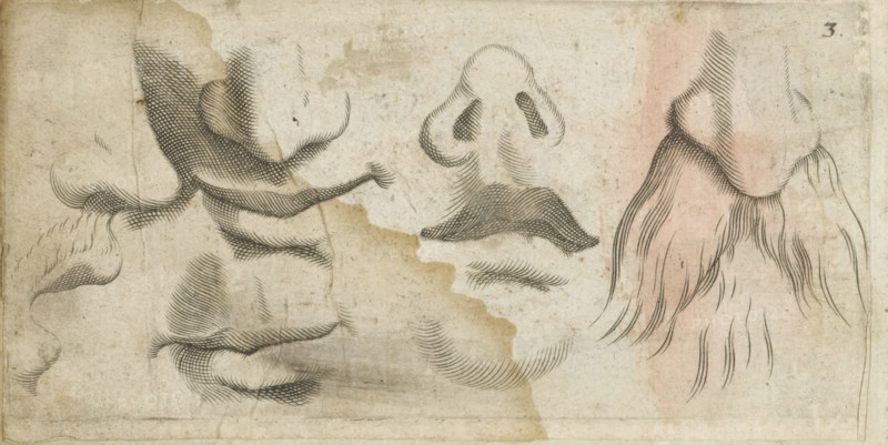 Four noses and five mouths, print, album page, Series number, 3, Four noses and five mouths. On the right a moustache and a beard. Numbered top right: 3., inscription: '15', 1576 - 1650, printmaker, paper, engraving, paste, pasted on album page, height 77 mm x width 147 mm, parts of the face: nose, mouth, parts of the face: lips, A worn, stained sheet with several black ink line drawings of noses and surrounding facial contours, showing cross-hatched shading and flowing curved strokes; one large profile nose on the left with dense hatch marks and textured shadowing, a frontal nose near the center with curved lines indicating nostrils and a shaded philtrum, a variety of smaller nose studies and separate shaded lips and brow shapes scattered around the page, and a right-side drawing with longer flowing lines resembling hair or a beard rendered in thinner strokes with a faint reddish wash beneath; the background shows paper discoloration, water stains, creases, and slight smudging.