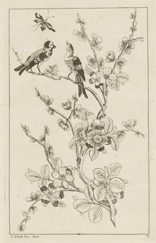 Two birds in a blossoming tree and a butterfly, Chinese women, flowers and birds, print, album page, ornamental print, Series number, 12, Print is part of an album., printmaker: Pieter Schenk (II) (possibly), Amsterdam, after print by anonymous (possibly), 1727 - 1775, after print by, paper, etching, height 255 mm x width 162 mm, birds, insects: butterfly, trees (flowers, blossom, blossoming), A vertical ink drawing of flowering branches with detailed leaves and blossoms extending across the page, two perched birds on an upper branch with one bird facing the other and a patterned butterfly flying above them, clusters of blossoms and buds along curving stems, fine line shading on petals and feathers, and a thin rectangular border framing the scene.