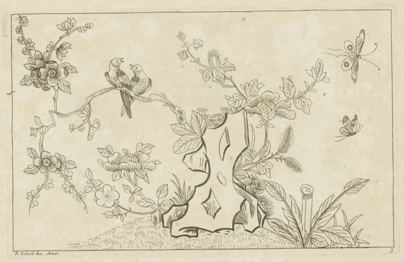 Blossom tree with birds and butterflies, Chinese flowers and birds, print, album page, ornamental print, Series number, 3, 6, Stylized rock with a blossoming tree behind it. Two birds sit on a branch. Two butterflies in the air. Print is part of an album., printmaker: Pieter Schenk (II), Amsterdam, 1727 - 1775, paper, etching, height 162 mm x width 254 mm, flowers, birds, Chinese, insects: butterfly, trees (flowers, blossom, blossoming), A bordered illustration showing a pair of birds perched on a curving branch surrounded by flowering vines and leaves, with stylized blossoms and buds scattered along the stems; decorative leaves and foliage rise from the ground and frame a central rock-like formation with carved openings, while two butterflies hover to the right; the line drawing is rendered in thin dark lines on a light, slightly aged background.