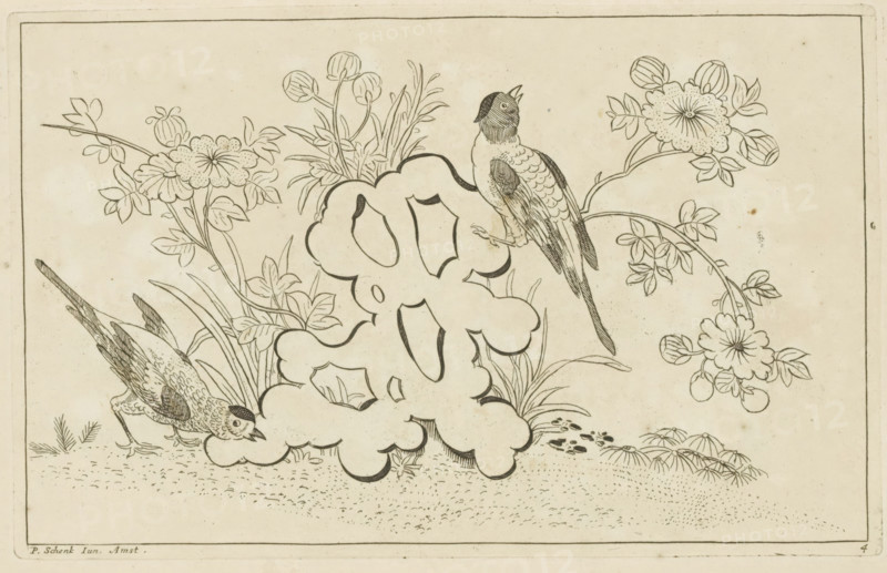 Two birds by a flowering bush, Chinese flowers and birds, print, album page, ornamental print, Series number, 4, 6, Stylized rock or tree stump with two birds. Behind it a flowering bush. Print is part of an album., printmaker: Pieter Schenk (II), Amsterdam, 1727 - 1775, paper, etching, height 163 mm x width 255 mm, flowers, birds, Chinese, trees (flowers, blossom, blossoming), A monochrome line drawing of two birds among stylized rocks and plants, showing one bird perched on a rounded rock formation with detailed feathers and a long tail, and another bird on the ground pecking near the base of the rocks. Surrounding the birds are tall grasses and flowering branches with rounded blossoms and clustered buds, drawn with fine outlines and simple interior lines to indicate petals and leaves. The ground is lightly stippled and lined to suggest texture, and a thin rectangular border frames the composition.