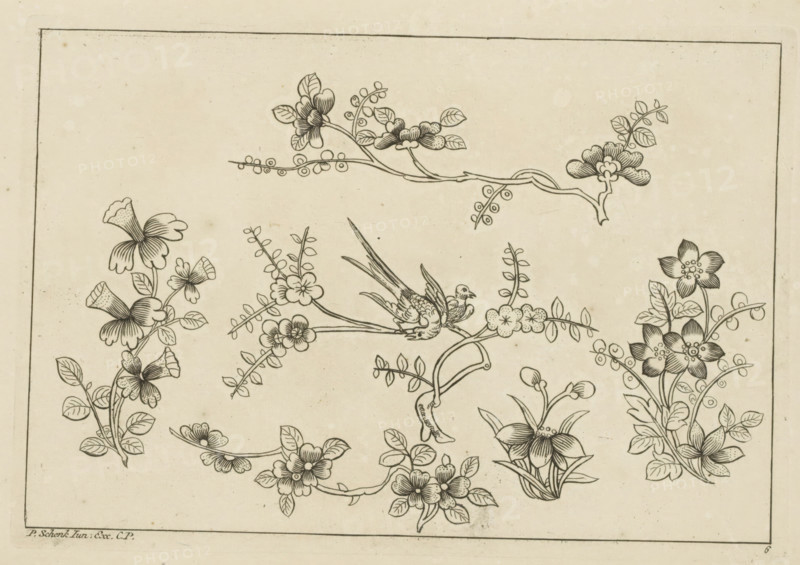 Flower branches with two birds, Chinese flowers and insects, print, album page, ornamental print, Series number, 6, Print is part of an album., printmaker: Pieter Schenk (II), Amsterdam, Leipzig, 1727 - 1775, unknown, grantor of privilege, paper, etching, height 166 mm x width 242 mm, flowers, birds, Chinese, A rectangular sheet with a thin border contains a delicate line drawing of multiple floral motifs and a perched bird; curved branches and stems extend across the page bearing clusters of stylized blossoms with rounded petals, layered petals, and dotted centers, accompanied by small oval leaves and tiny circular berries on slender stalks; one central bird with long tail feathers and patterned wings sits on a branch near a cluster of rounded flowers, while other sections show vertical sprays of bell-shaped flowers, rosette-like blooms, and grouped foliage arranged symmetrically around empty space, all rendered in fine black lines on a light, slightly speckled background.