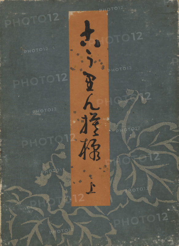 Designs after Kôrin, book, Leperello album with blue cover featuring a foliage motif, brown title cartouche with handwritten title, table of contents inside cover, 12 double pages with color woodcuts in Neo-Rinpa style., printmaker: Furuya Kôrin, Japan, publisher: Unsodo, 1907, paper, color woodcut, black line block with color blocks, metal pigments, height 255 mm x width 186 mm, A vertical rectangular orange strip sits near the center of a worn blue-gray background patterned with large, faded floral shapes, the strip bearing several vertical black brushstroke markings and small scattered square decorations; the blue-gray surface shows scuffs, discoloration, and edge wear, and the floral motifs extend outward with flowing leaves and stems in a lighter muted tone.