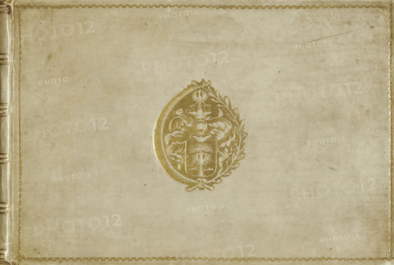 Album with architectural prints by the Van Doetechum brothers, based on designs by Vredeman de Vries and Jacques Androuet, print album, Album with 146 engravings on 146 album pages. The album contains six print series on architecture, column orders, and Roman ruins. Parchment binding with a coat of arms stamped in gold on the book covers. The coat of arms, an eagle with outstretched wings in front of a tree, is probably that of a member of the de Méan family in Liège. Three blank pages in the front and four blank pages in the back, inscription: 'No 304: C', printmaker: Johannes of Lucas van Doetechum, printmaker: Jacques Androuet, after design by Hans Vredeman de Vries, after design by Léonard Thiry, after print by Hieronymus Cock, publisher: Theodoor Galle, Antwerp, 1540 - 1601, Hieronymus Cock, after print by, biological material, parchment (animal material), paper, binding, blocking, color cut, etching, album with parchment binding with gold stamps in gold leaf, bound etchings, red ...