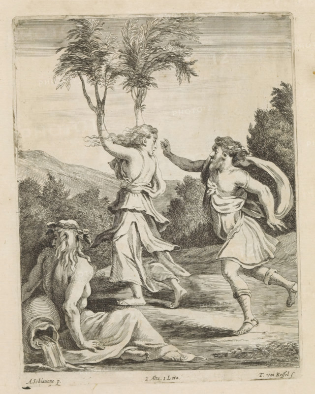 Apollo and Daphne, print, album page, Apollo pursues the nymph Daphne because he is in love with her. Daphne begs her father, the river god Peneus, who is sitting in the front, to help her. He causes Daphne to turn into a laurel tree. This print is part of an album., printmaker: Theodorus van Kessel, Southern Netherlands, after painting by Schiavone, Italy, publisher: David Teniers (II), Brussels, grantor of privilege: Spanish Crown, 1660, paper, etching, height 222 mm x width 170 mm, The print was produced after the painting by Schiavone which is in the collection of the Kunsthistorisches Museum in Vienna (inventory number GG_356). David Teniers probably produced an oil study on canvas or panel (so-called pasticcio) of all the paintings in the collection of Leopold William of Austria, which served as models for the printmakers. It is not always clear whether the pasticci were made by him or by his studio. Not all pasticci have survived., Daphne changed into a laurel-tree: while fleein...