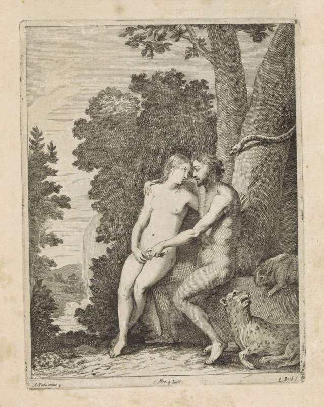 Temptation of Adam and Eve, print, album page, Adam embraces Eve and takes the apple. The serpent looks on from the tree. This print is part of an album., printmaker: Quirin Boel, Southern Netherlands, after painting by Padovanino, Italy, publisher: David Teniers (II), Brussels, grantor of privilege: Spanish Crown, 1660, paper, etching, height 222 mm x width 169 mm, David Teniers probably produced an oil study on canvas or panel (so-called pasticcio) of all the paintings in the collection of Leopold William of Austria, which served as a model for the printmakers. It is not always clear whether the pasticci were made by him or by his studio. Not all pasticci have been handed down., Eve offers the fruit to Adam, A black and white etched scene shows two nude human figures seated closely together near the base of a large tree, one figure with longer hair leaning toward the other while the other figure places an arm around them and reaches toward their hand; behind them dense foliage and tr...