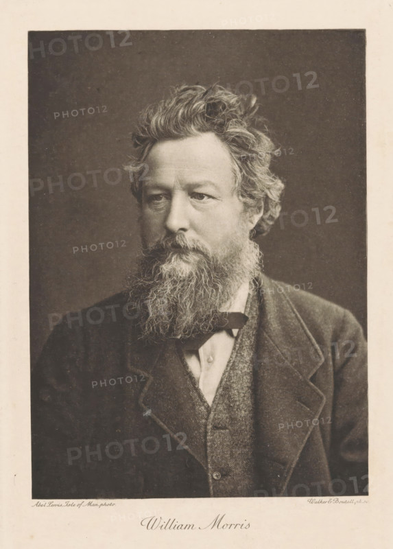 Portrait of William Morris, William Morris, print, photograph, printmaker: Walker & Boutall, London, photographer: Abel Lewis, Isle of Man, 1887 - 1900, paper, photoaquatint, heliogravure, height 181 mm x width 121 mm, Person, portrait, self-portrait of artist, A sepia-toned portrait of a middle-aged man shown from the chest up, facing slightly to his left, with a full, curly beard and mustache and wavy hair swept back; he wears a dark jacket over a textured vest and a light-colored shirt with a narrow bow at the collar, and the background behind him is plain and dark.