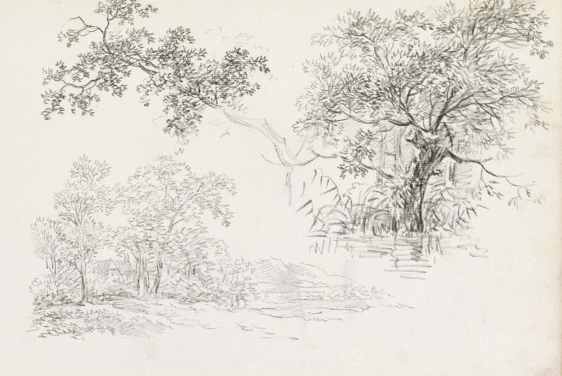 Landscape, branch with leaves and a tree by the waterside, sketchbook page, Page 34 recto from a sketchbook with 75 pages., draftsman (artist): Andreas Schelfhout, c. 1811, draftsman (artist), inorganic material, paper, chalk, black chalk, height 233 mm x width 335 mm, landscapes, trees (branch, stick), A pencil sketch showing several clusters of trees and foliage on a light paper background, with a larger, more detailed tree on the right featuring a textured trunk, spreading branches, and dense leaf clusters, and lighter, more delicate branch and leaf studies across the top and left, plus faint undergrowth and ground lines beneath the trees.