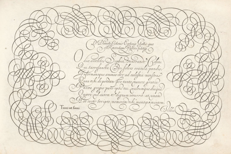 Writing example: D. Daniels Colonio ecclesiae Gallie, Thrésor litéraire, Spieghel der rijkonste, print, album page, ornament print, Writing example with the salutation: D. Daniels Colonio ecclesiae Gallie quae est Roterodami pastori fideliss. Below that, seven lines of text in Latin: O diae antistes ... Signed: Tuus ut suus Veldius. The text is framed by scrollwork., printmaker: Simon Frisius, Haarlem, after design by Jan van de Velde (I), Rotterdam, dedicated to: Daniel Colonius, 1605, paper, engraving, gravure, height 210 mm x width 320 mm, calligraphy, A rectangular sheet with a lightly speckled off-white background features an ornate border of continuous dark curved lines forming looping, symmetrical flourishes along the top, sides, and bottom, leaving a central open area; the central area contains a block of elegant cursive strokes arranged in horizontal lines, with additional larger decorative swirls integrated among them, and small isolated oval and circular loops positioned nea...