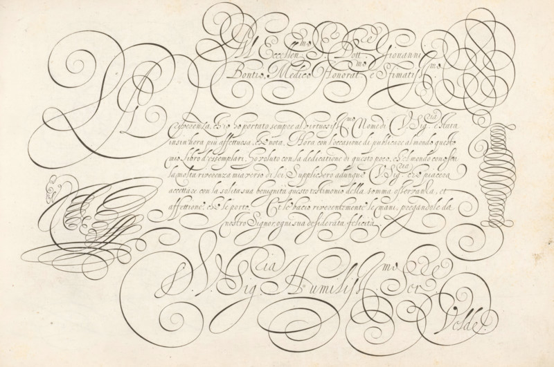 Writing example: Al eccellen. S. dott. Giovanni Bontio, Thrésor litéraire, Spieghel der schrijfkonste, print, album page, ornamental print, Writing example with the opening: Al eccellen. S. dott. Giovanni Bontio ... Below that seven lines in Italian: De riverenza ch'io ho portato ... Signed: DV Sig. Humiliss Ser. Velde. Left a swan in scrollwork., printmaker: Simon Frisius, Haarlem, after design by Jan van de Velde (I), publisher: Jan van de Velde (I), Rotterdam, dedicated to: Johannes Bontius, 1605, Simon Frisius, Jan van de Velde (I), Johannes Bontius, printmaker, after design by, publisher, paper, engraving, gravure, height 210 mm x width 320 mm, water-birds: swan, calligraphy, An off-white sheet with dense dark gray ornamental calligraphic strokes forming large flowing spirals, loops, and curving flourishes that sweep across the page, including tight coil-like stacks, overlapping circular swirls, elongated S-shaped curves, and clusters of elegant penwork; fine, evenly spaced hairli...