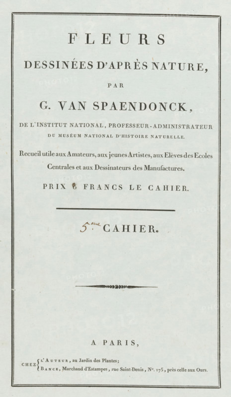 Flowers drawn from nature, 5th Cahier, wrapper, print, Cover for a series of four prints of flowers., publisher: Gerard van Spaendonck, Paris, publisher: Jacques-Louis Bance, 1799 - 1801, printmaker, paper, letterpress printing, letterpress on green paper, height 528 mm x width 344 mm, A vertical page with a thin dark rectangular border and centered lines of printed serif text; the paper is pale with small speckles and slight age marks; a horizontal rule appears near the upper middle, and a decorative horizontal flourish is visible below the center; there is a small handwritten mark above one line of printed text; the lower portion shows additional printed lines and a narrow dark border continuing to the page edge.