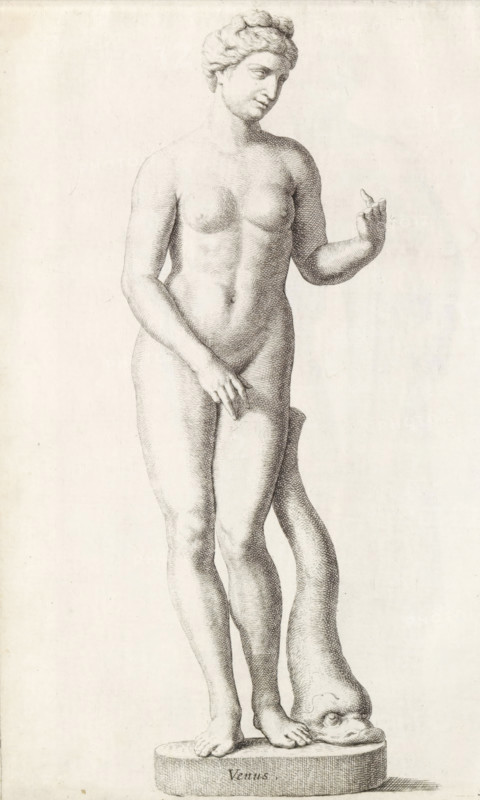 Venus, Sculpture of Venus with a dolphin, print, album page, Series number, 5, 98, Classical sculpture of Venus with a dolphin beside her. The sculpture is missing several fingers., with a series of prints after the sculptures in the collection of Gerard Reynst., number: '42', inscription: 'Vide lib No. 4 ...', printmaker: Hubert Quellinus, Antwerp, printmaker: Gerard de Lairesse, 1646 - 1670, paper, engraving, gravure, height 330 mm x width 204 mm, piece of sculpture, reproduction of a piece of sculpture, (story of) Venus (Aphrodite), A detailed monochrome drawing of a classical nude female statue standing on an oval base, shown full length from head to feet; the figure has softly modeled features, wavy hair pulled back, and a serene expression with the head tilted slightly to one side; one arm is raised with the hand turned outward and fingers slightly curled while the other hand rests near the groin; the body displays subtle shading to indicate muscle and form, with crossed legs and...
