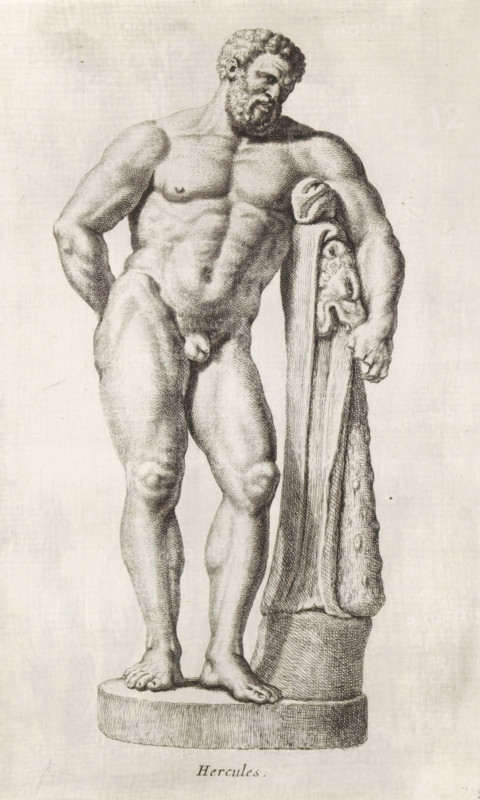 Sculpture of Hercules, Hercules, print, album page, Series number, 7, 98, Sculpture of Hercules leaning on his club and the skin of a lion., with a series of prints after the sculptures in the collection of Gerard Reynst., inscription: 'Vide lib. No. 4de fol. 10 ....', number: '43', printmaker: Hubert Quellinus, Antwerp, printmaker: Gerard de Lairesse, 1646 - 1670, paper, engraving, gravure, height 320 mm x width 198 mm, piece of sculpture, reproduction of a piece of sculpture, (story of) Hercules (Heracles), A detailed monochrome drawing of a nude male figure standing on a rounded pedestal, shown full-length with a muscular build and curly hair and beard, his head tilted slightly downward and turned to one side, one arm resting on a tall, carved column draped with a textured cloth and the other arm positioned behind his back, the figure's feet are flat on the pedestal and the surface of the pedestal and column show fine crosshatching and shading, the background is plain and light.