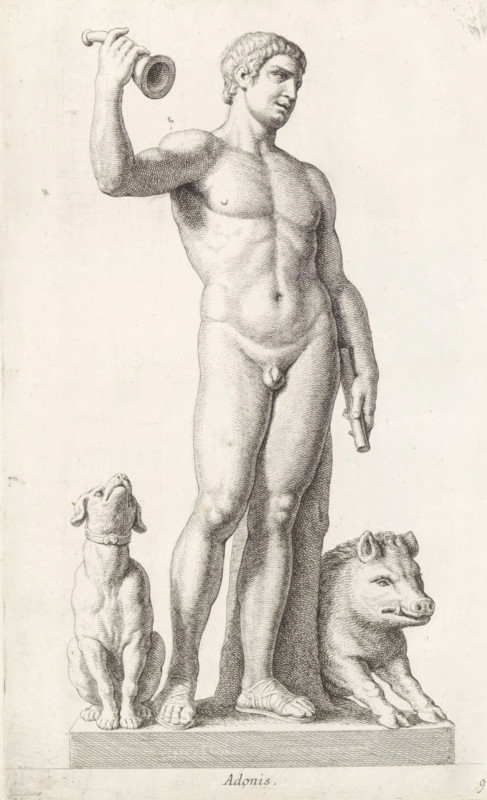 Sculpture of Adonis, Adonis, print, album page, Series number, 9, 98, Classical sculpture of Adonis with a dog beside him and the wild boar that killed him., with a series of prints after the sculptures in the collection of Gerard Reynst., number: '44', printmaker: Hubert Quellinus, Antwerp, printmaker: Gerard de Lairesse, 1646 - 1670, paper, engraving, gravure, height 330 mm x width 201 mm, piece of sculpture, reproduction of a piece of sculpture, (story of) Adonis, A detailed monochrome engraving shows a standing nude male figure on a rectangular plinth, depicted in a contrapposto pose with weight on one leg and the other slightly bent, holding a small cylindrical object in one hand and raising a narrow trumpet-like object in the other; the figure has short curly hair and finely modeled musculature, with sandals on his feet. Flanking the figure at the base are two animals: one resembling a seated dog with a collar looking upward, and the other a recumbent boar with a textured snout a...