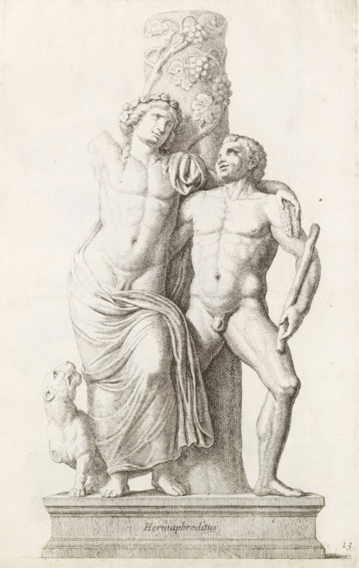 Hermaphroditus, Sculpture of Bacchus, with satyr and panther, print, album page, Series number, 13, 98, Classical sculpture of Bacchus, standing against a pillar with grapevines. Next to him stands a satyr. On the left a panther. The text on the statue incorrectly identifies the figures as Salmacis and Hermaphroditus., with a series of prints after the sculptures in the collection of Gerard Reynst., number: '46', printmaker: Hubert Quellinus, Antwerp, printmaker: Gerard de Lairesse, 1646 - 1670, paper, engraving, gravure, height 325 mm x width 204 mm, piece of sculpture, reproduction of a piece of sculpture, (story of) Bacchus (Dionysus), Liber, satyr(s) (in general), beasts of prey, predatory animals: panther, story of Hermaphroditus and Salmacis, (story of) Hermaphroditus, A detailed pencil or ink drawing of two classical nude figures leaning against a carved column entwined with vine leaves and grape clusters; the figure on the left appears more feminine with draped cloth around the...