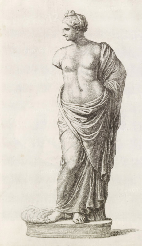 Sculpture of a standing woman, print, album page, Series number, 17, 98, Classical sculpture of a standing woman with a bare upper body., with a series of prints after the sculptures in the collection of Gerard Reynst., number: '48', printmaker: Hubert Quellinus, Antwerp, printmaker: Gerard de Lairesse, 1646 - 1670, paper, engraving, gravure, height 325 mm x width 201 mm, piece of sculpture, reproduction of a piece of sculpture, standing figure - AA - female human figure, A grayscale drawing of a classical female statue shown from head to base, with hair styled in an updo and a serene profile facing left, a bare torso with visible breasts and a draped cloth wrapped around the waist and over one shoulder, detailed crosshatching and shading on the fabric and body, one leg slightly bent beneath the drapery and both feet resting on an oval pedestal, all rendered against a plain light background.