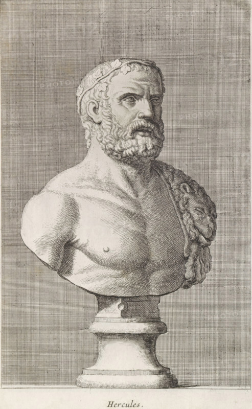 Hercules, Bust of Hercules, print, album page, Series number, 19, 98, Classical bust of Hercules. The skin of a lion hangs over his shoulder., with a series of prints after the sculptures in the collection of Gerard Reynst., number: '49', inscription: 'Vide lib. No. 4de fol. 10 ...', printmaker: Hubert Quellinus, Antwerp, printmaker: Gerard de Lairesse, 1646 - 1670, paper, engraving, gravure, height 330 mm x width 196 mm, piece of sculpture, reproduction of a piece of sculpture, (story of) Hercules (Heracles), A detailed black and white engraving of a classical male bust mounted on a pedestal, shown from the upper torso to the head, with a bearded face turned slightly to the viewer's right and a wreath encircling the hair; the figure has defined chest and shoulder musculature, a draped hide over one shoulder with textured fur, and a stylized neck and clavicle area; the pedestal beneath is rendered with rounded moldings and a columnar form; the background consists of a closely hatched g...