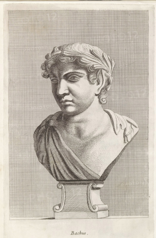 Bachus, Bust of Bacchus, print, album page, Series number, 63, 98, Classical bust of the god Bacchus or Pan, with a crown of leaves and two goat's legs over his shoulders., with a series of prints after the sculptures in the collection of Gerard Reynst., number: '71', inscription: 'Vide lib. No. 4 de fol. 66 ...', printmaker: Hubert Quellinus, Antwerp, printmaker: Gerard de Lairesse, 1646 - 1670, Hubert Quellinus, Gerard de Lairesse, printmaker, paper, engraving, gravure, height 328 mm x width 199 mm, piece of sculpture, reproduction of a piece of sculpture, (story of) Bacchus (Dionysus), Liber, (story of) Pan, A detailed engraved bust of a classical figure shown from the chest upward rests on a decorative pedestal; the figure has curly hair partially covered by a laurel-like headband, defined facial features with a contemplative expression, and a draped garment across one shoulder, all rendered with fine crosshatching against a tightly gridded background.
