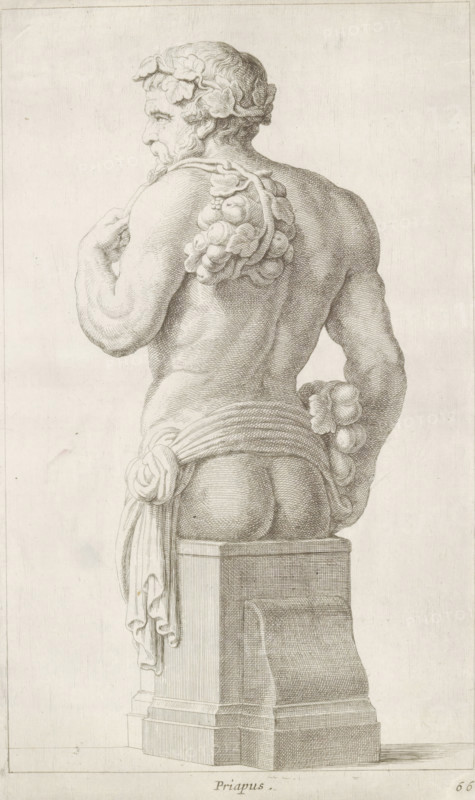 Herme of Priapus, seen from behind, Priapus, print, album page, Series number, 66, 98, with a series of prints after the sculptures in the collection of Gerard Reynst., number: '72', printmaker: Hubert Quellinus, Antwerp, printmaker: Gerard de Lairesse, 1646 - 1670, paper, engraving, height 325 mm x width 197 mm, piece of sculpture, reproduction of a piece of sculpture, Priapus-herm, A detailed pencil or ink drawing of a male bust shown from behind and turned slightly to the side, seated on a rectangular pedestal. The figure has curly hair with a wreath of leaves and a cluster of grapes draped over one shoulder, and a muscular back and arms with finely rendered shading. A cloth is wrapped around the waist and knotted at the side, with loose folds hanging down beside the pedestal. The pedestal is depicted with architectural molding and vertical lines, and the drawing shows delicate crosshatching and line work throughout on a light background.