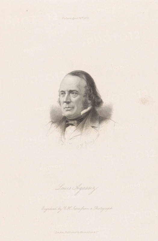 Portrait of Louis Agassiz, print, Portrait of Louis Agassiz. His name in the lower margin., printmaker: Charles Henry Jeens, publisher: Macmillan & Co., London, 1879-04-24, paper, engraving, etching, stippelwerk, etching and stippelwerk, height 224 mm x width 158 mm, Person, Louis Agassiz, A sepia-toned engraved portrait of an older man shown from the chest up, facing slightly to the viewer's left, with a high forehead and receding hairline, long sideburns, and wavy hair at the back; he wears a dark bow tie, a collared shirt, and a jacket with a fur or textured collar, and faint engraved shading defines his facial features and clothing against a plain light background.