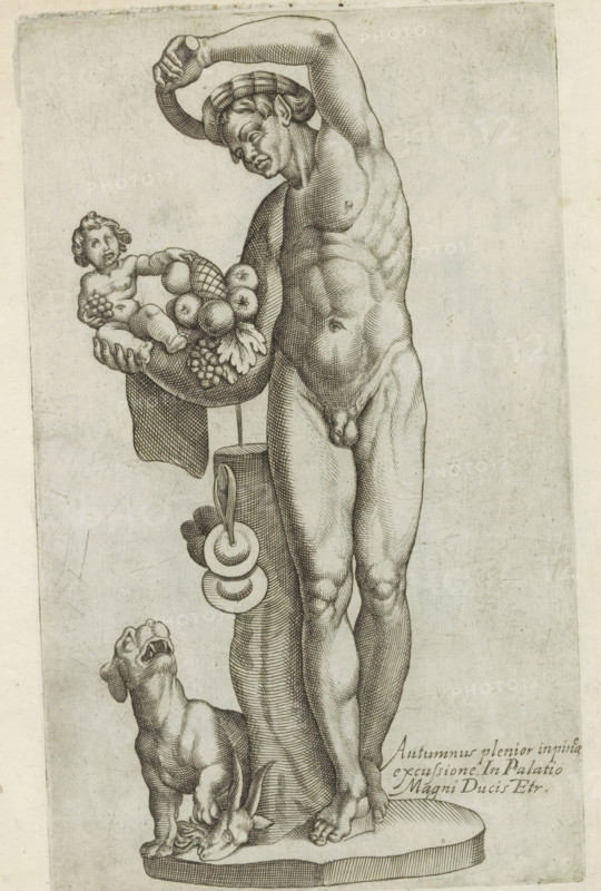 Sculpture of Autumnus, Sculptures from antiquity, print, album page, Caption in Latin. Print is part of an album., inscription: 'Ende lib. No. 21. fol. 339. Ende lib. No. 23. fol. 97.', inscription: 'Ende lib. No. 20 fol. 43. 49 et lib. No. 4... fol. 10 ... fol. 16.', number: '67', Italy, 1600 - 1699, printmaker, paper, etching, engraving, height 223 mm x width 135 mm, This print is part of a series of at least 50 prints of sculptures from antiquity., piece of sculpture, reproduction of a piece of sculpture, autumn, fall, 'Autumnus', 'Autunno' (Ripa), A tall nude male figure stands with one arm raised and the other extended holding a shallow basket filled with rounded fruits and a reclining infant figure; the man wears a brimmed cap and has defined musculature rendered with fine hatching; a draped cloth hangs beneath the basket and a vertical support runs behind it with circular objects suspended; at the man's feet a dog stands on a plinth with its head turned upward and near the dog's...