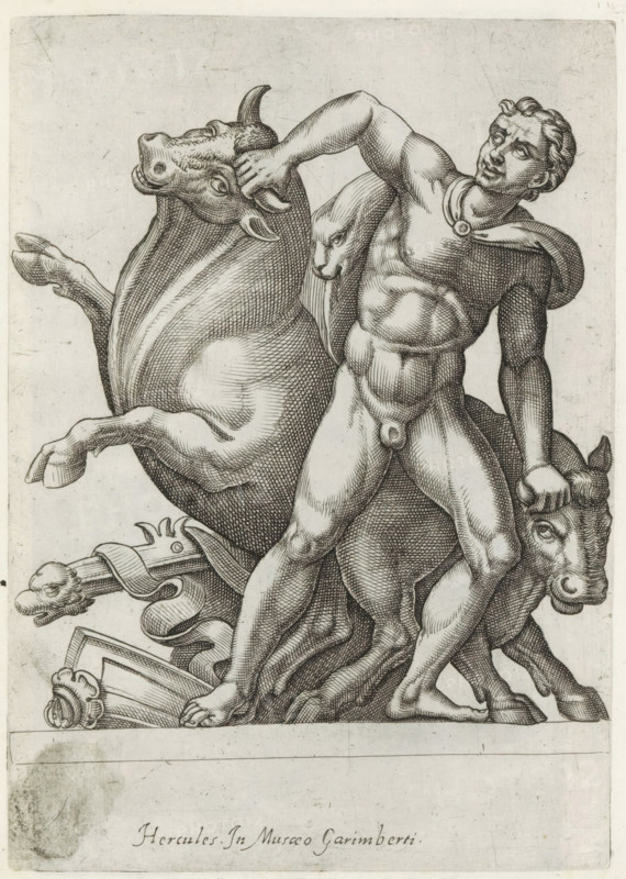 Sculpture of Hercules fighting the cattle of Geryon, Ancient sculptures, print, album page, Latin caption. Print is part of an album., inscription: 'Ende lib. No. 4 ... fol. 10 ... fol. 16 et lib. No. 8.', inscription: 'Ende ... lib. fol. 31.', number: '84', Italy, 1600 - 1699, printmaker, paper, engraving, gravure, height 220 mm x width 155 mm, This print is part of a series of at least 50 prints of ancient sculptures., piece of sculpture, reproduction of a piece of sculpture, (10) the cattle of Geryon secured by Hercules, A detailed monochrome engraving shows a muscular nude male figure standing with one arm raised to grasp the head of a bull and the other hand holding another bull by the horn; the man wears a short cloak fastened at the shoulder and his hair is short and wavy; two bulls flank him, one rearing with its head tilted and mouth slightly open and the other positioned lower with a visible face and horn; decorative elements including a carved staff, ribbon-like drapery, and...