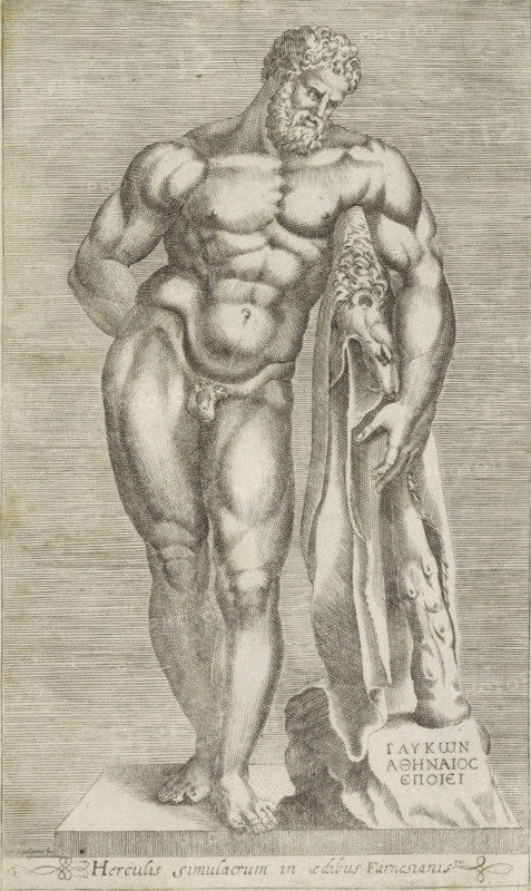 Herculis simulacrum in aedibus Farnesiani, Sculpture of Hercules, Hercules Farnese, Antiquarum statuarum urbis Romae quae in publicis locis visuntur icones, Ancient sculptures in Rome, print, album page, Caption in Latin. Print is part of an album., number: '13', printmaker: unknown, Italy, publisher: Andrea Vaccari, Rome, 1584, paper, engraving, height 222 mm x width 134 mm, Until 1787 this statue stood in the Palazzo Farnese, hence the name Hercules Farnese. This print is part of a set of 79 prints (title print) depicting ancient sculptures in Rome. This print is part of a set of 79 prints (title print) depicting ancient sculptures in Rome., piece of sculpture, reproduction of a piece of sculpture, (story of) Hercules (Heracles), A grayscale engraved image of a standing male nude statue with a muscular torso and curly hair and beard, leaning slightly to one side with one hand resting on a draped animal hide that hangs over a vertical support, the hide showing a flayed animal head and...