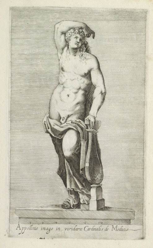 Appollinis imago in viridario cardinalis de Medicis, Sculpture of Apollo, Ancient sculptures in Rome, Antiquarum statuarum urbis Romae quae in publicis locis visuntur icones, print, album page, Caption in Latin. Print is part of an album., number: '25', printmaker, publisher, Rome, Italy, paper, engraving, height 222 mm x width 134 mm, This print is part of a set of 79 prints (title print) depicting ancient sculptures in Rome., piece of sculpture, reproduction of a piece of sculpture, (story of) Apollo (Phoebus), A grayscale engraving of a classical male statue standing on a rectangular plinth, shown nearly full-length and slightly turned to one side, with one arm raised and bent behind the head and the other arm resting on a tall, curved object beside the figure; the statue is draped with a cloth around the hips and thigh, revealing a muscular torso and curly hair falling to the shoulders, and the feet are positioned on an ornate base with carved details, all set against a background ...