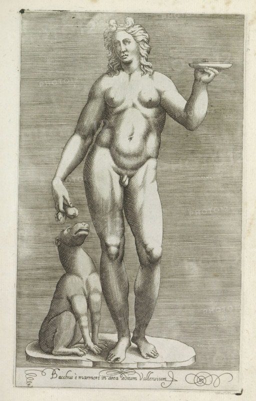 Bacchus è marmore in area aedium Vallensium, Sculpture of Bacchus and a dog, Antiquarum statuarum urbis Romae quae in publicis locis visuntur icones, Ancient sculptures in Rome, print, album page, Caption in Latin. Print is part of an album., number: '29', printmaker, publisher, Rome, Italy, paper, engraving, height 225 mm x width 135 mm, This print is part of a set of 79 prints (title print) depicting ancient sculptures in Rome., piece of sculpture, reproduction of a piece of sculpture, dog, (story of) Bacchus (Dionysus), Liber, A grayscale engraving of a nude standing figure with long wavy hair, shown full front on a raised oval base, holding a shallow dish in one hand and a pair of small round objects in the other; a seated animal with a rounded head and open mouth sits beside the figure on the base, looking upward; the figures are rendered with fine parallel hatching for shading and stand against a background of horizontal lines, with decorative flourishes visible along the lower e...